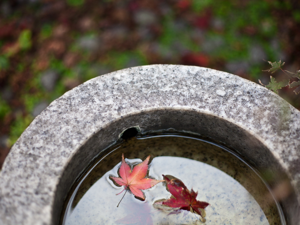 弁慶鮨 群馬県太田市 和の心と技術を盛り込んだ四季折々の料理とともに、楽しい時間を味わってくださいませ