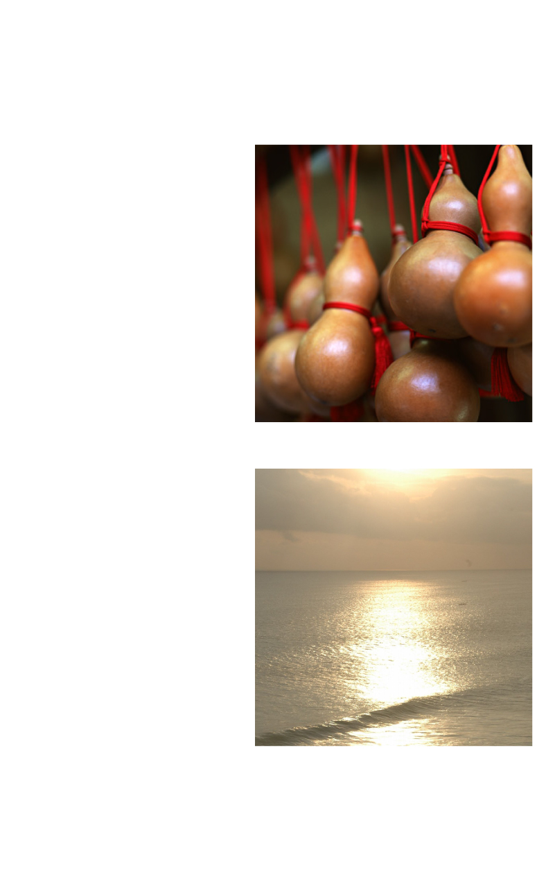 弁慶鮨の「節分の太巻き」で、今年も大切な方や家族皆さんが幸せになりますよう願いを込めて。
節分の太巻きは、食材の吟味から味付けに至るまで細部にまで、職人が真心を込めてお作りしております。
具材は「かんぴょう・しいたけ・たまご・あなご・えび・きゅうり・あちゃら・おぼろ」太巻き1本（2～3人前）です。
節分の太巻きのご予約は10月中旬より承っております。ご予約・お問い合わせを心よりお待ちしております。