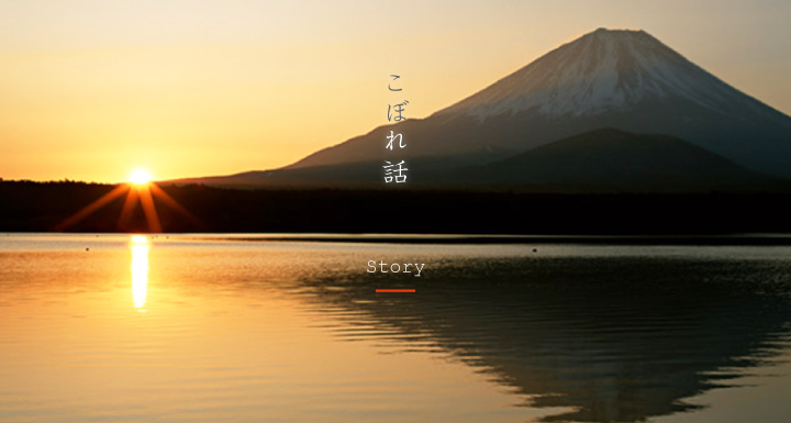 ブログ こぼれ話