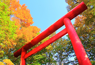 七五三にみる現代の行事のあり方