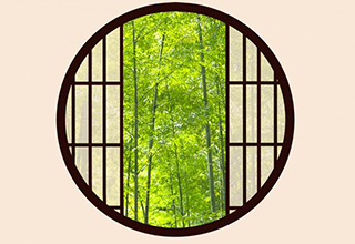 竹の花と竹にまつわる話