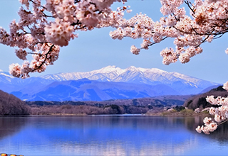 辞世の句に秘められた思いとは