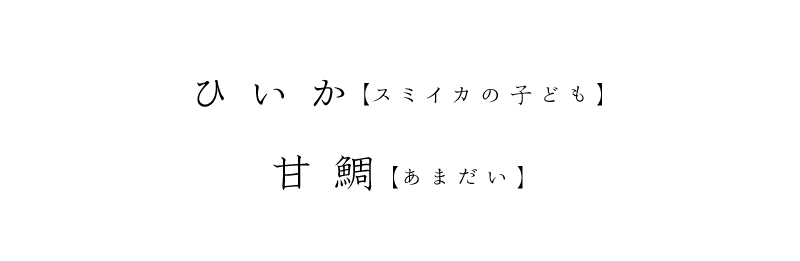 ひいか(スミイカの子ども) 甘鯛(あまだい) お造り