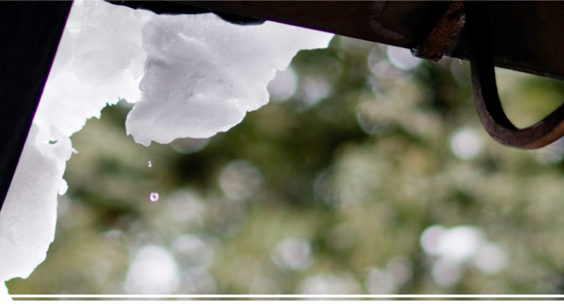 冬のお料理 「弁慶鮨」では、新鮮なネタを一つ一つ丁寧に仕込んみここを込めて握った寿司と、四季を五感で存分に味わっていただける和の心と技術を盛り込んだ割烹料理をご用意しております。